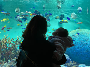 baby at aquarium in japan