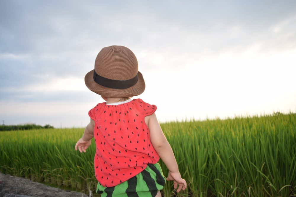 baby or toddler summer in japan