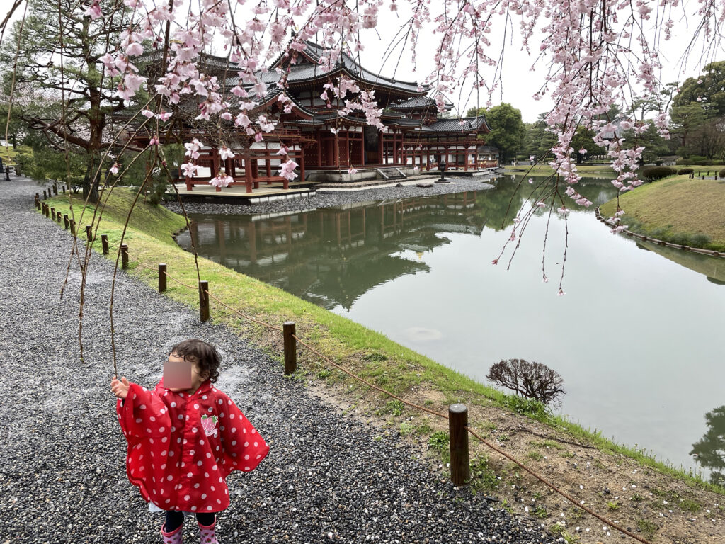 Uji in Kyoto Japan with toddler