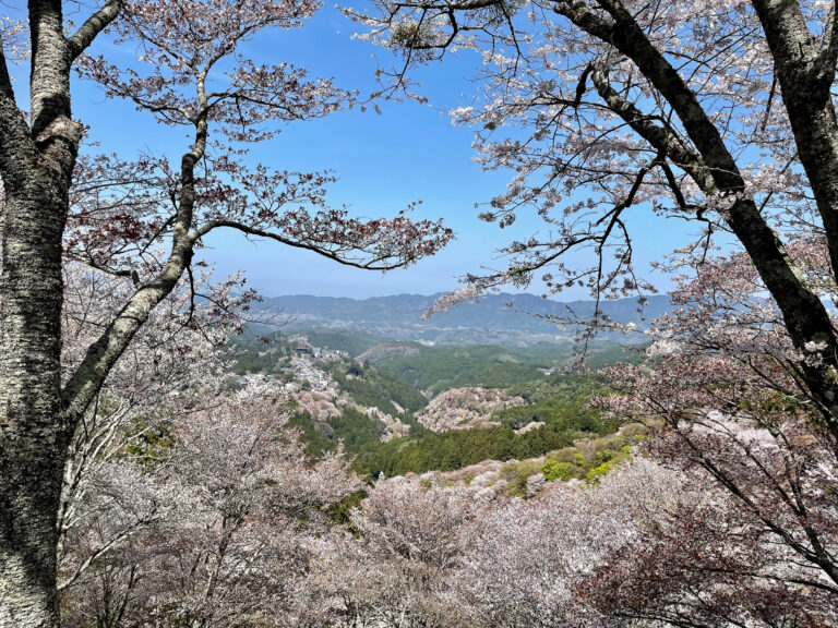 Hiking Nara’s Mount Yoshino for the Best Cherry Blossoms in Japan