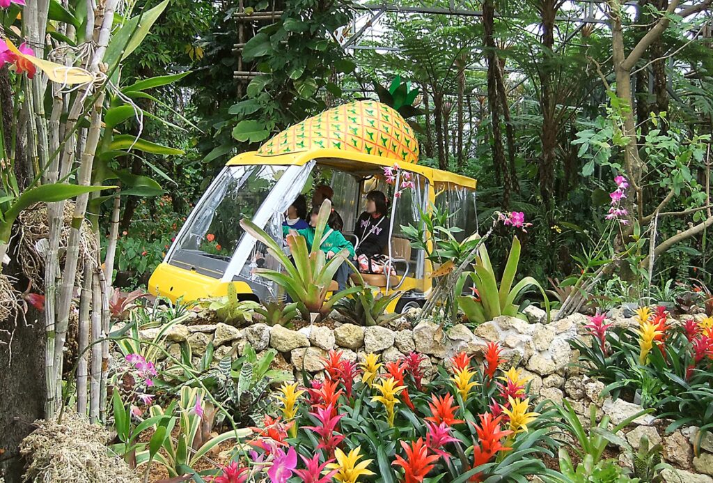 pineapple park okinawa with toddlers