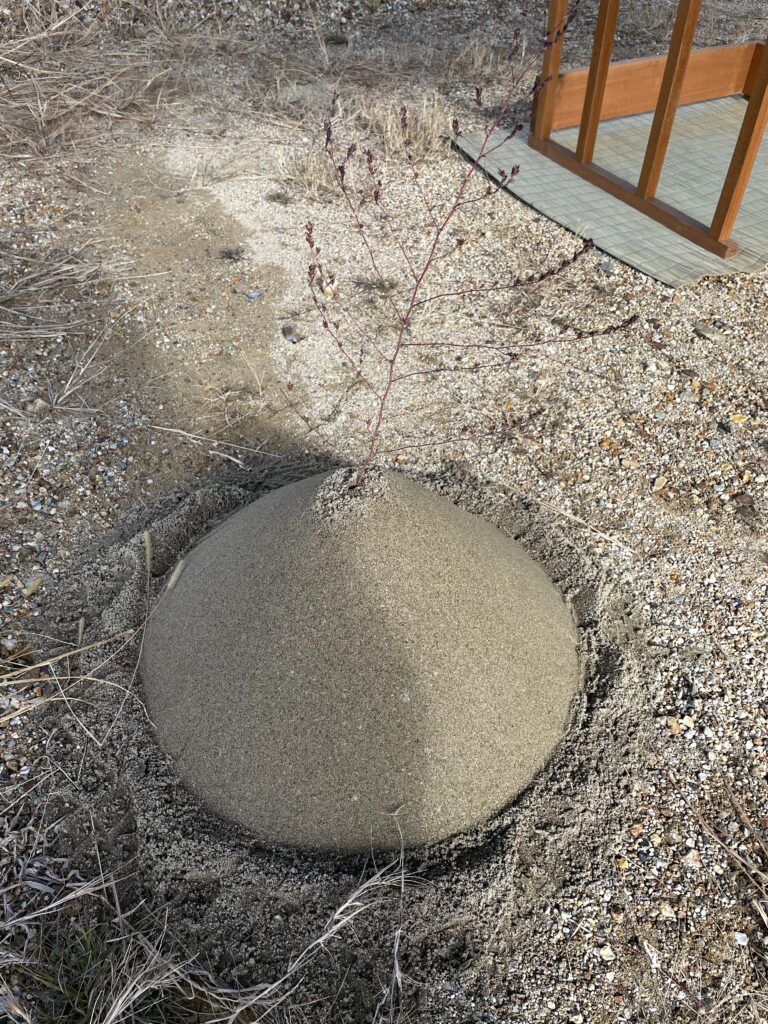 Jichinsai groundbreaking ceremony in japan house building