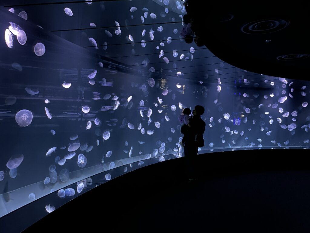 my daughter as a baby and my husband looking at jellyfish sunshine aquarium in tokyo