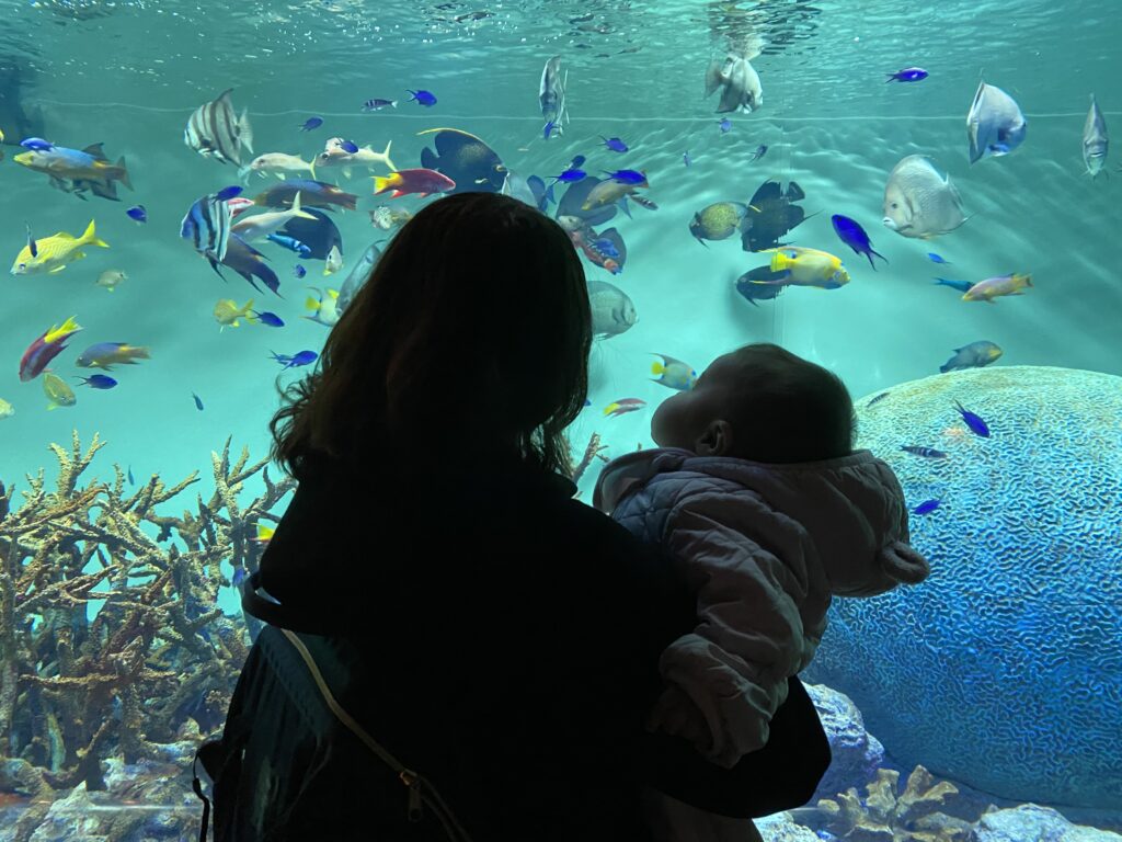 my daughter as a baby and I looking at fish at tokyo sealife aquarium