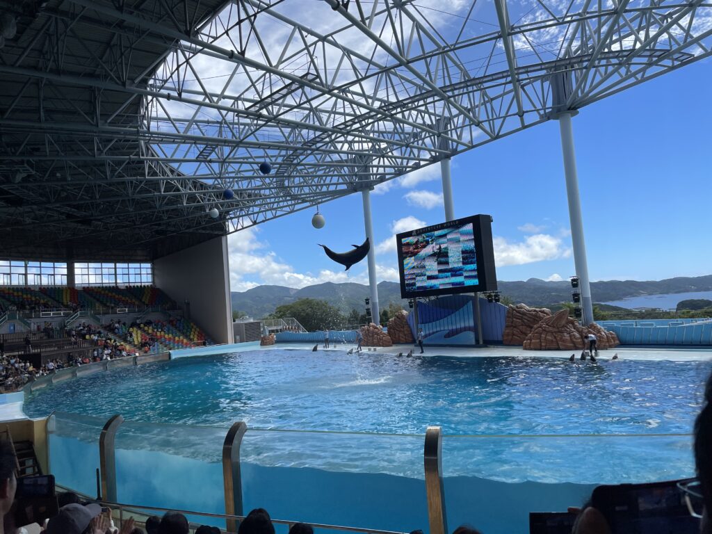 Dolphin show at Adventure World in Wakayama