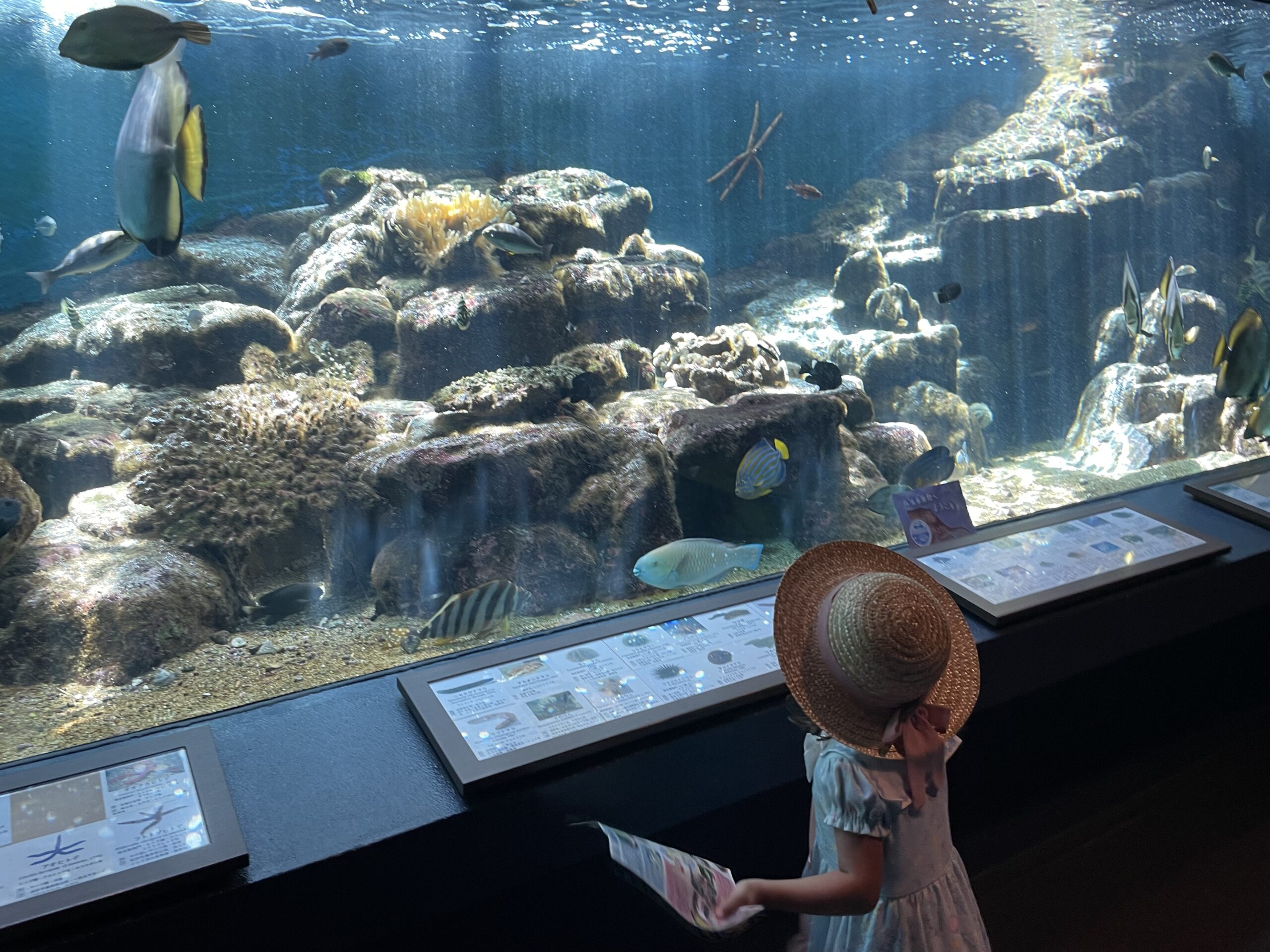 Kyoto University Shirahama Aquarium