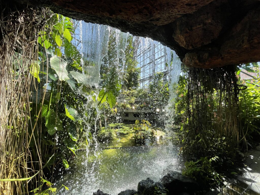 yumenoshima tropical greenhouse dome halloween with kids in tokyo japan