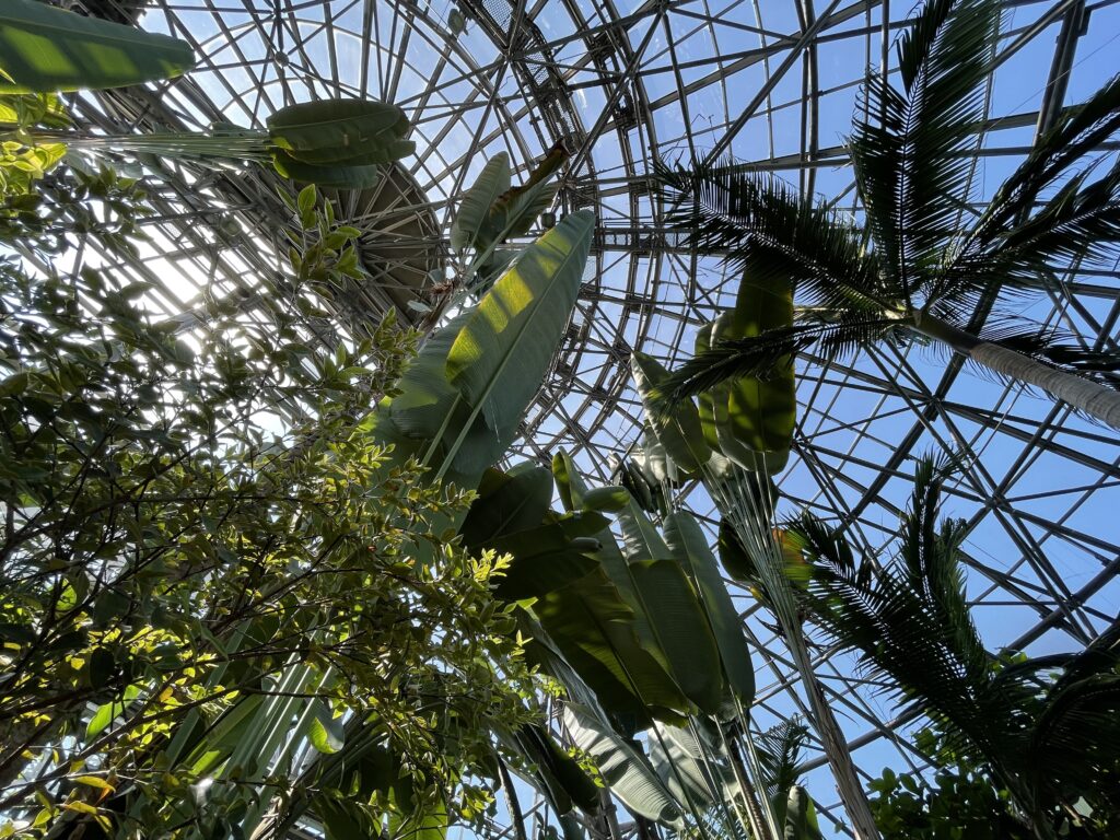 yumenoshima tropical greenhouse dome halloween with kids in tokyo japan