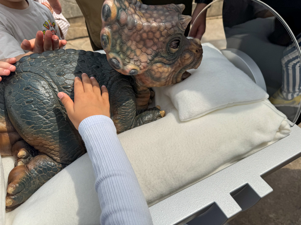 baby dinosaur meet and greet at USJ 