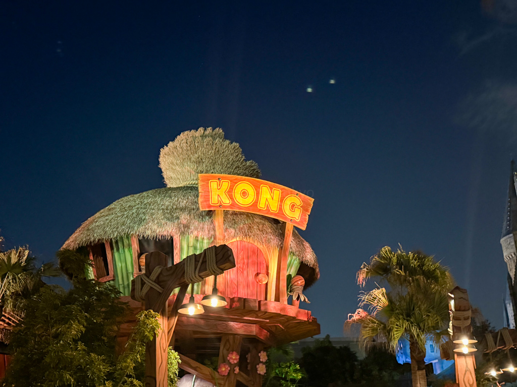 Donkey Kong Country at night