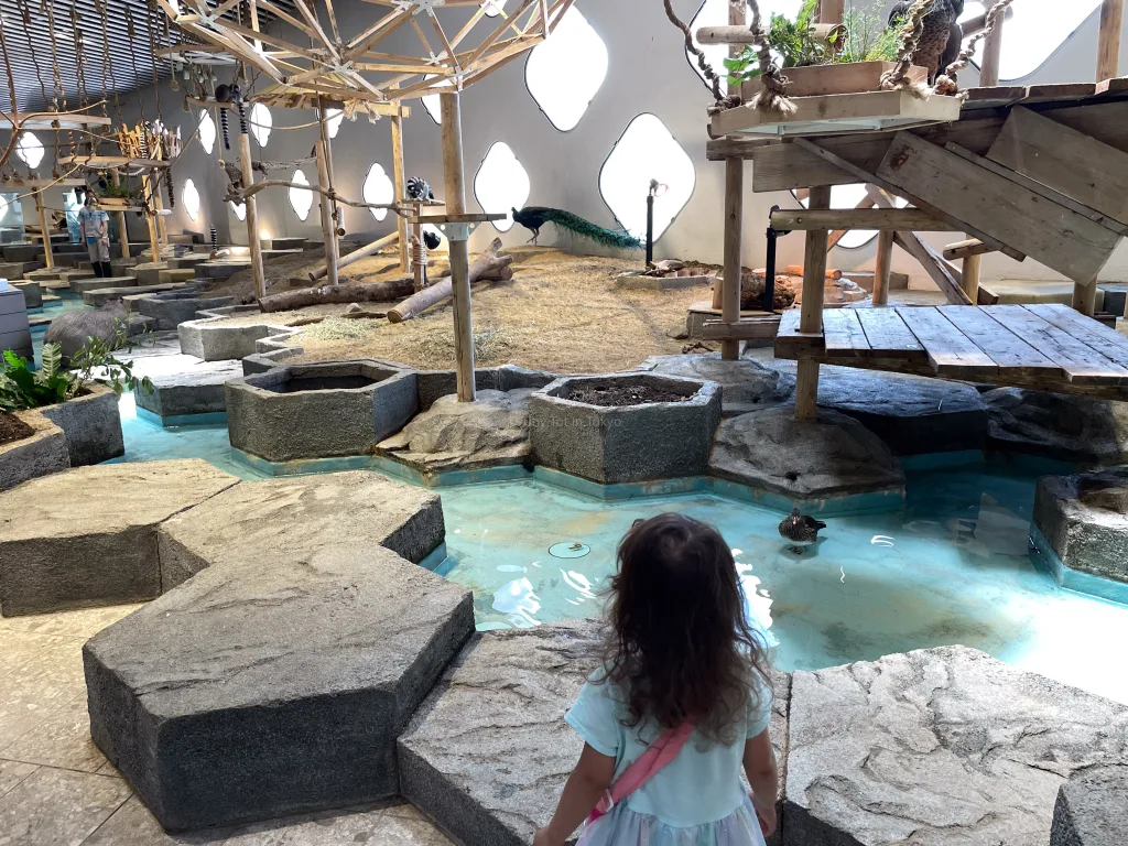 NIFREL aquarium with kids