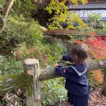 best things to do with kids in osaka