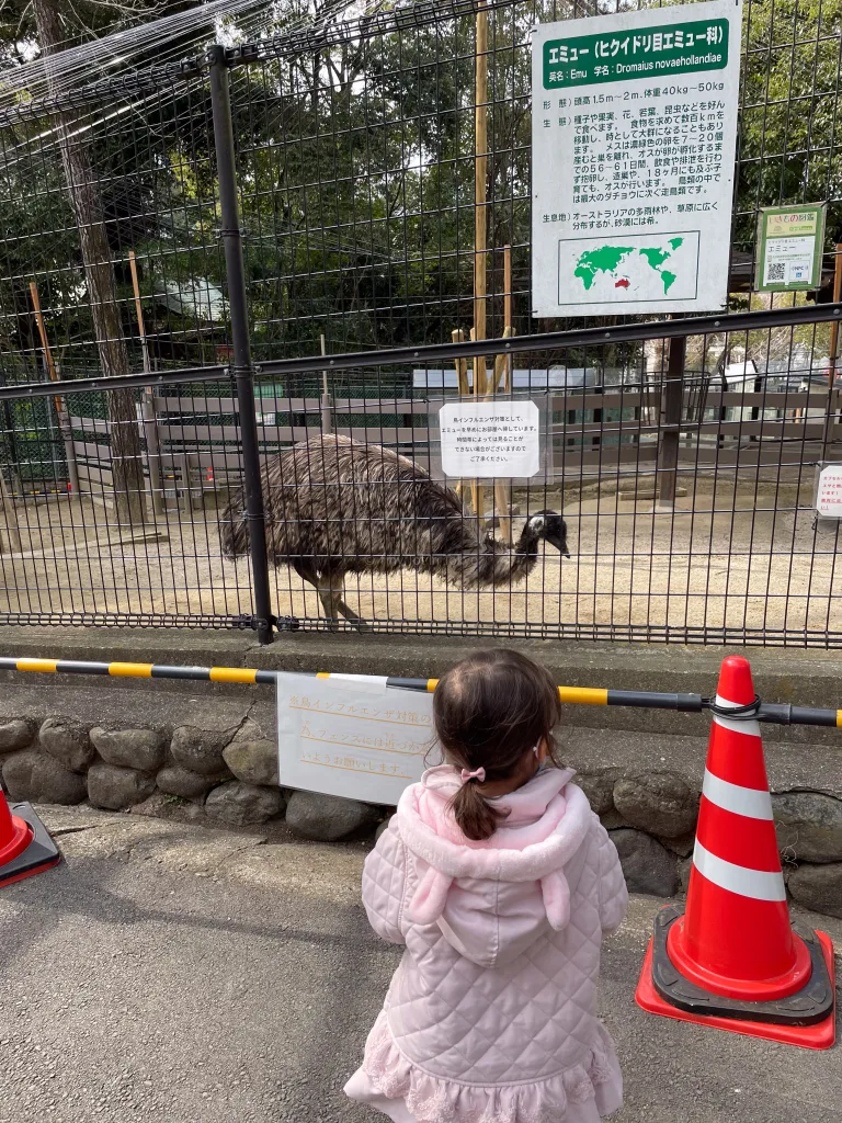 satsukiyama zoo with kids in osaka