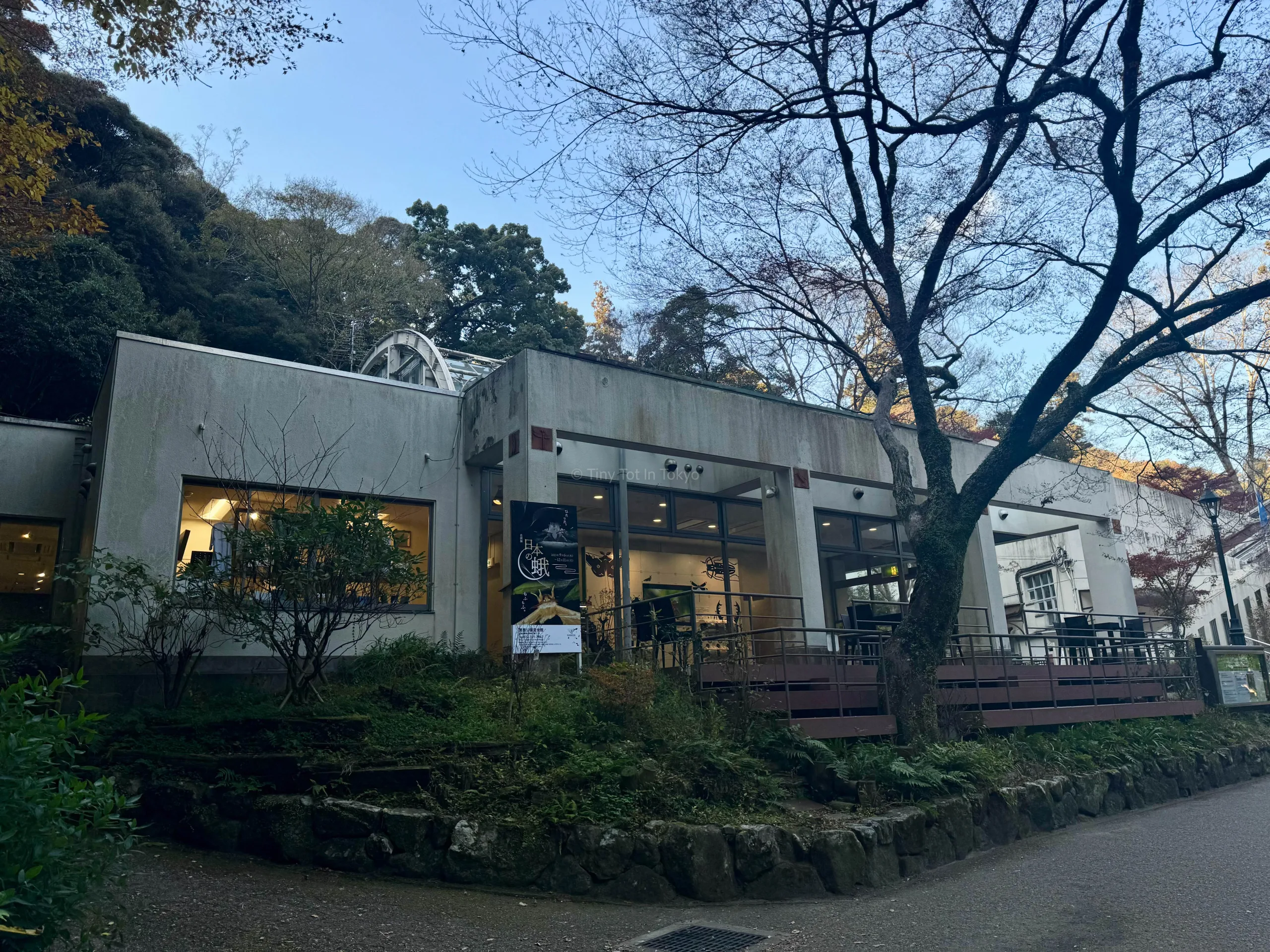 Minoo Insectarium in Osaka for Kids