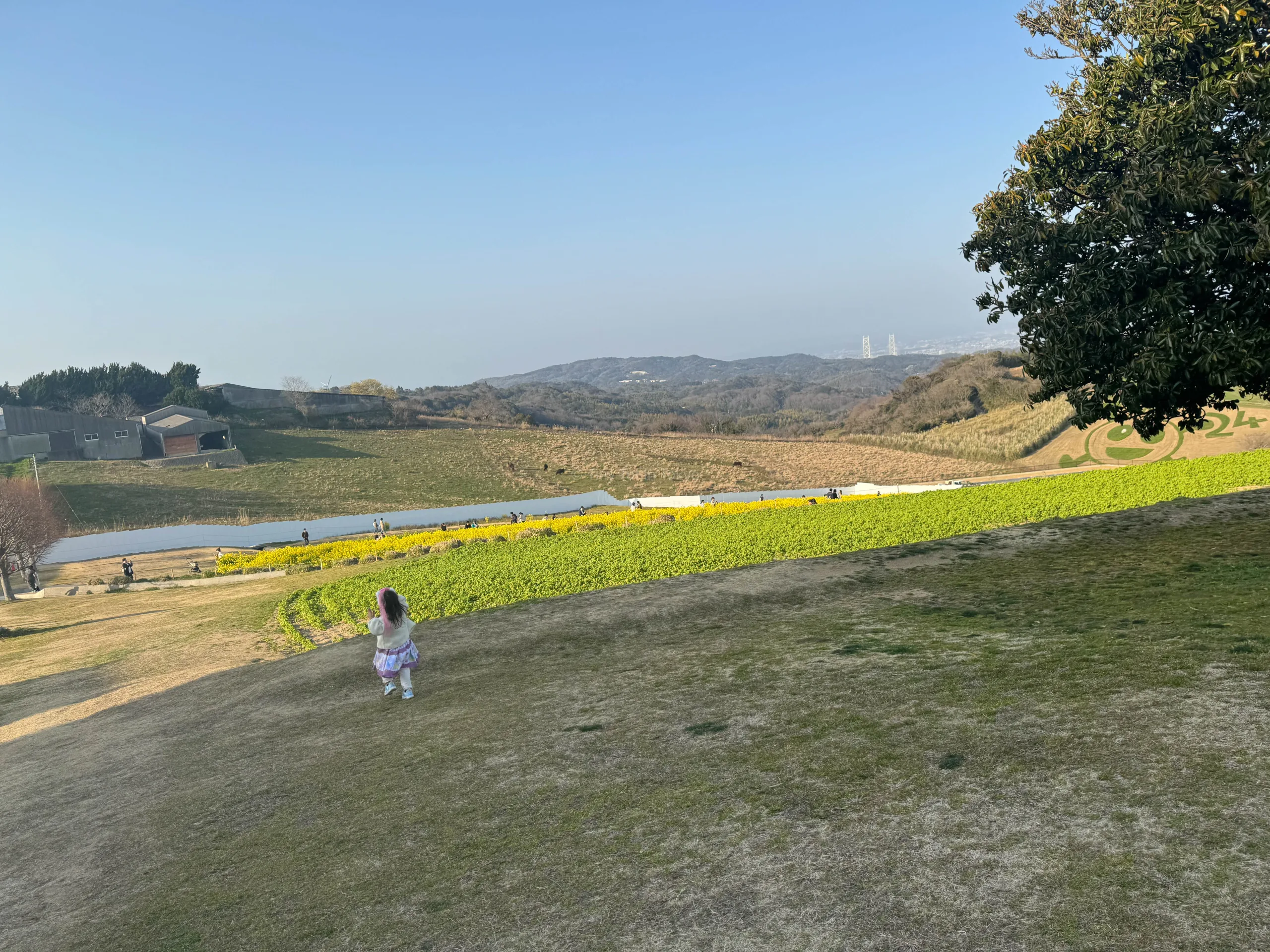 Hyogo Prefecture Awaji Hanasajiki