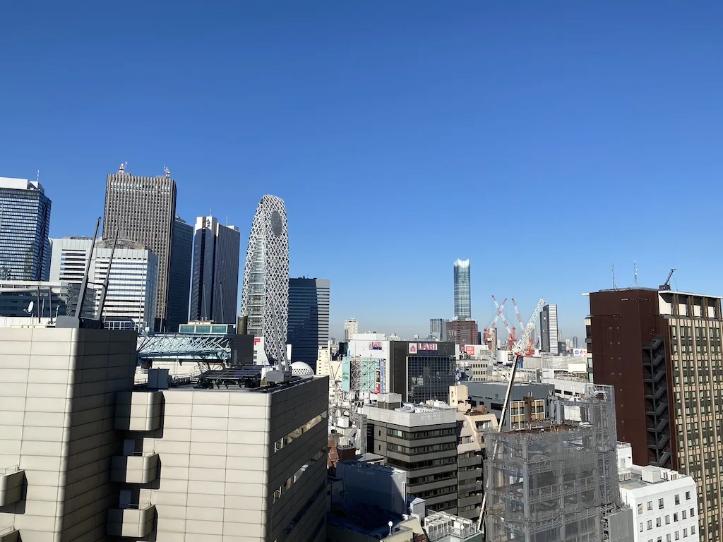 Shinjuku Skyline in Tokyo