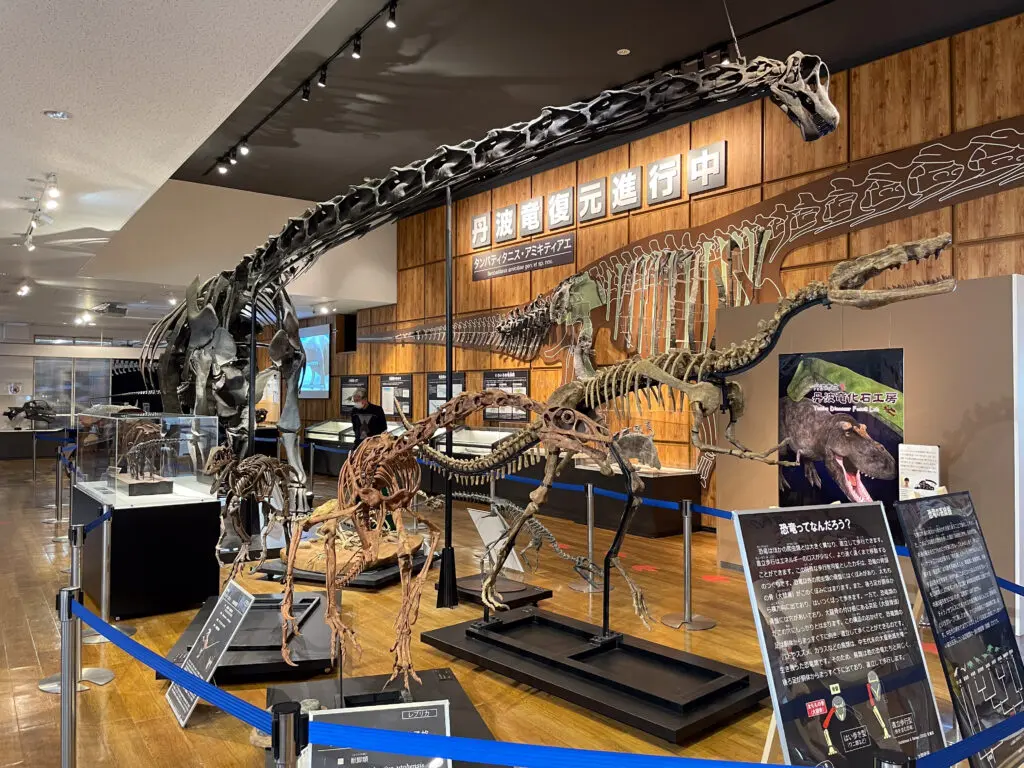 Tambatitanis Fossil Studio