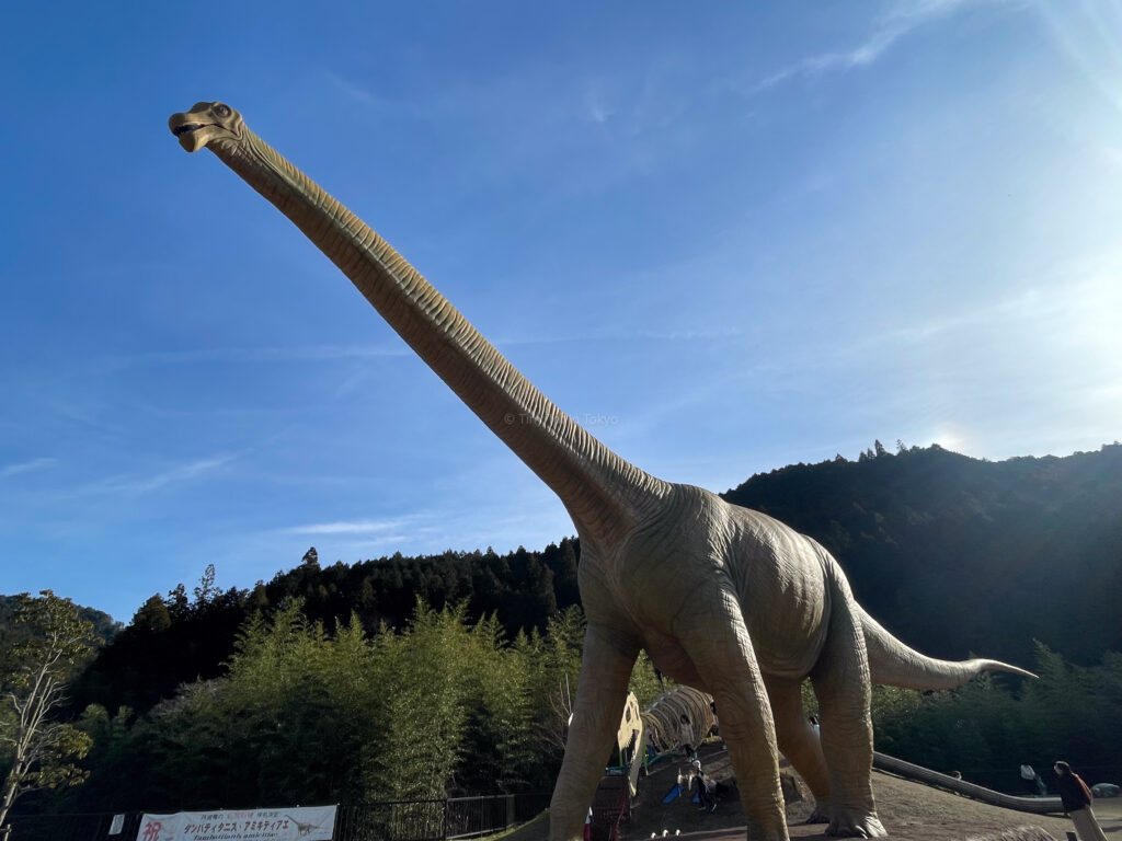 dinosaur park in Hyogo