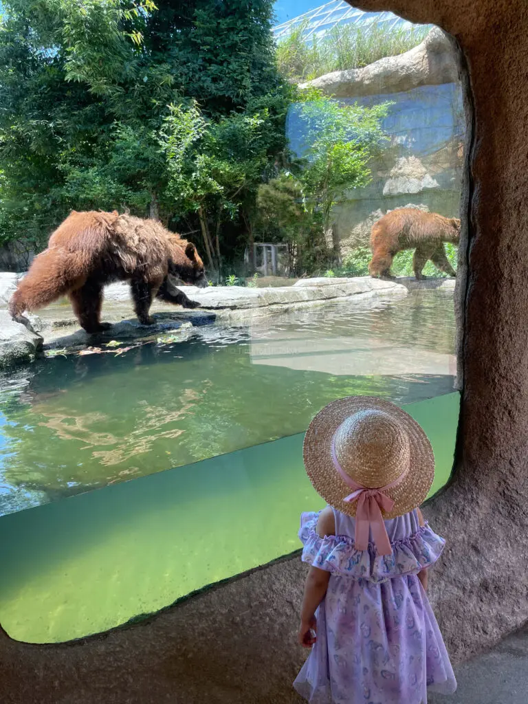 Kobe Animal Kingdom