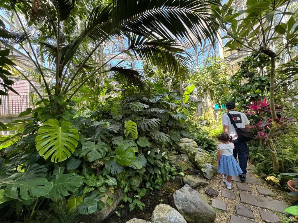 Nunobiki Herb Garden