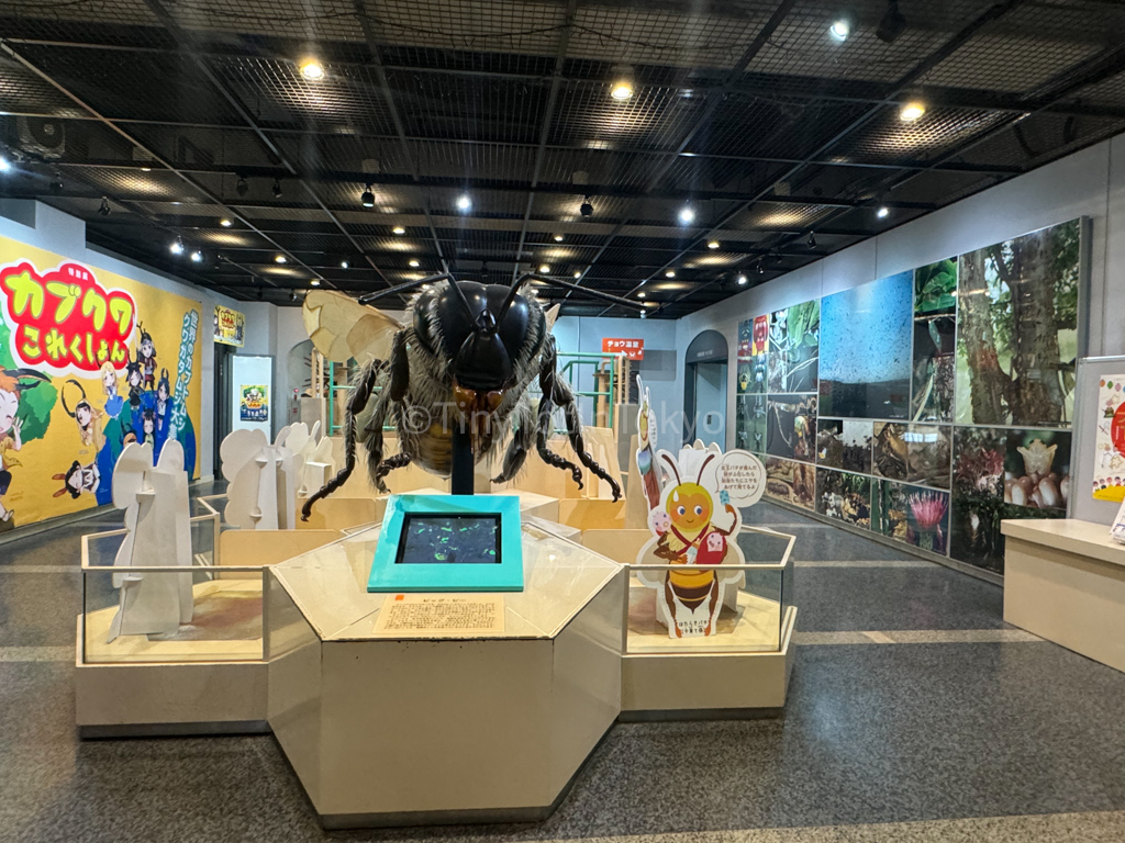 Inside of Itami Insectarium