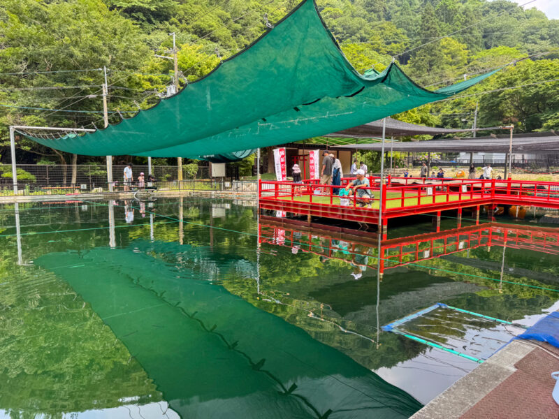 arima masu ike fishing pond
