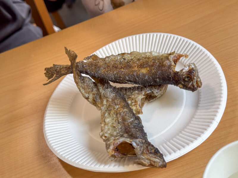 eating trout at arima onsen