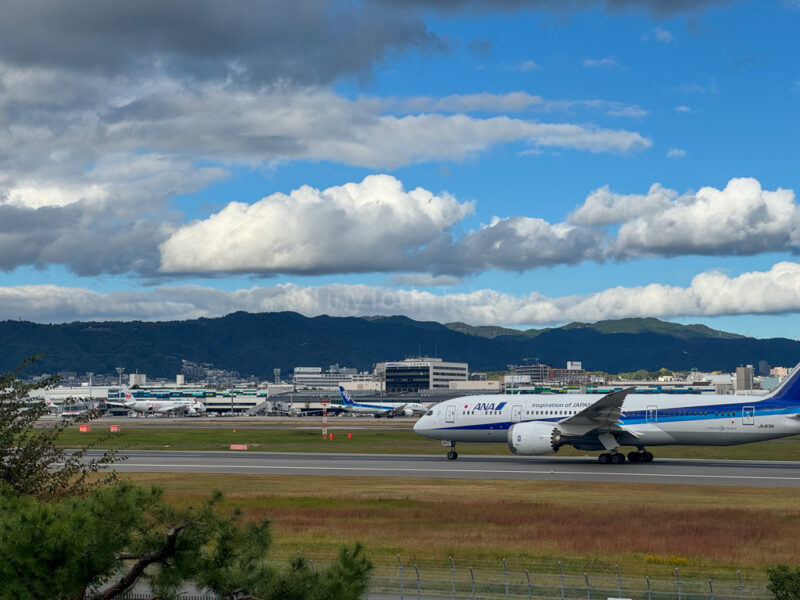 Itami Sky Park planes