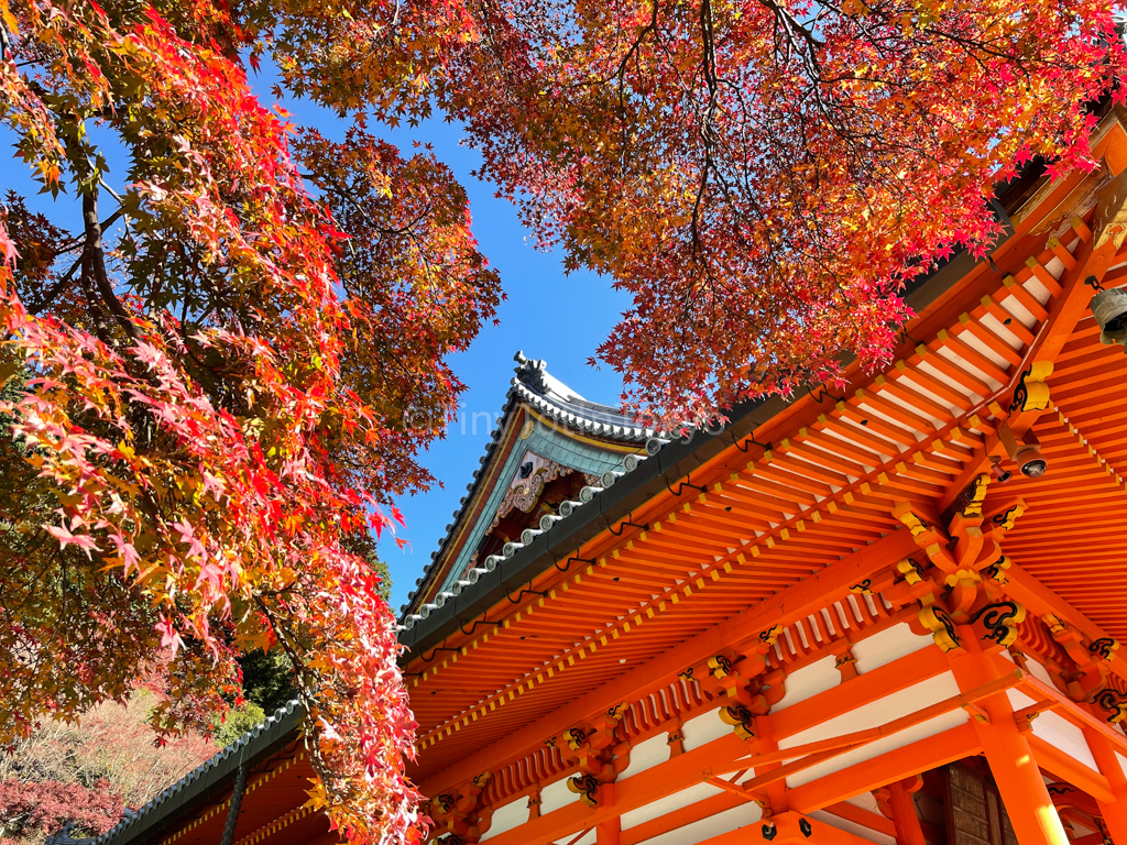 Katsuoji in Autumn