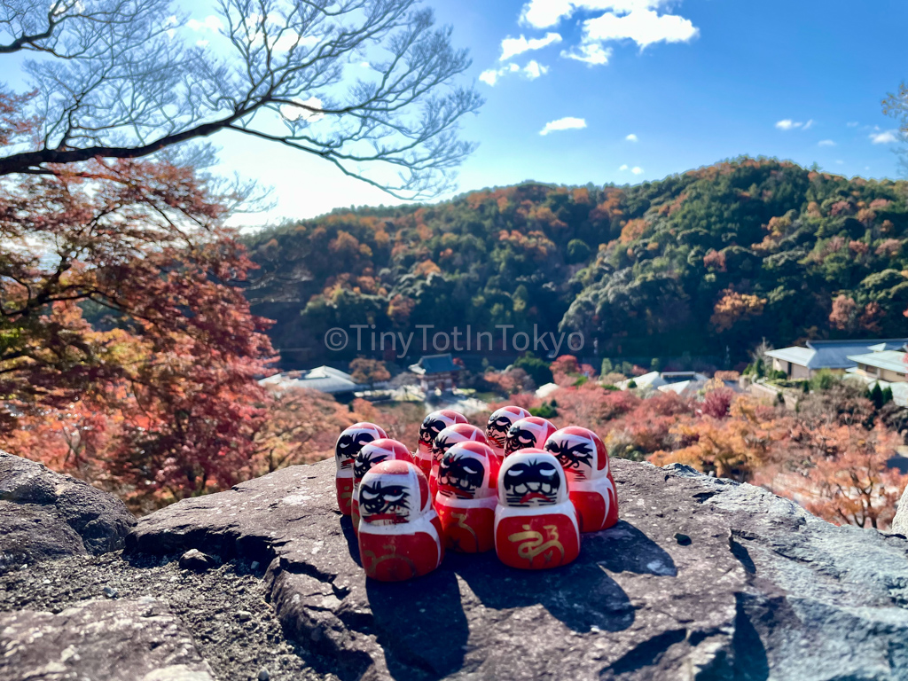 Valley view from Katsuoji temple in Osaka