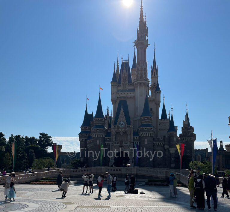 Tokyo Disneyland castle