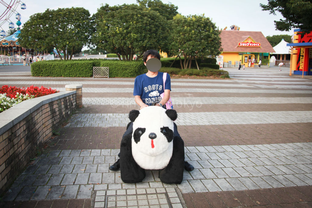 Hitachi Seaside Park -man riding on panda 