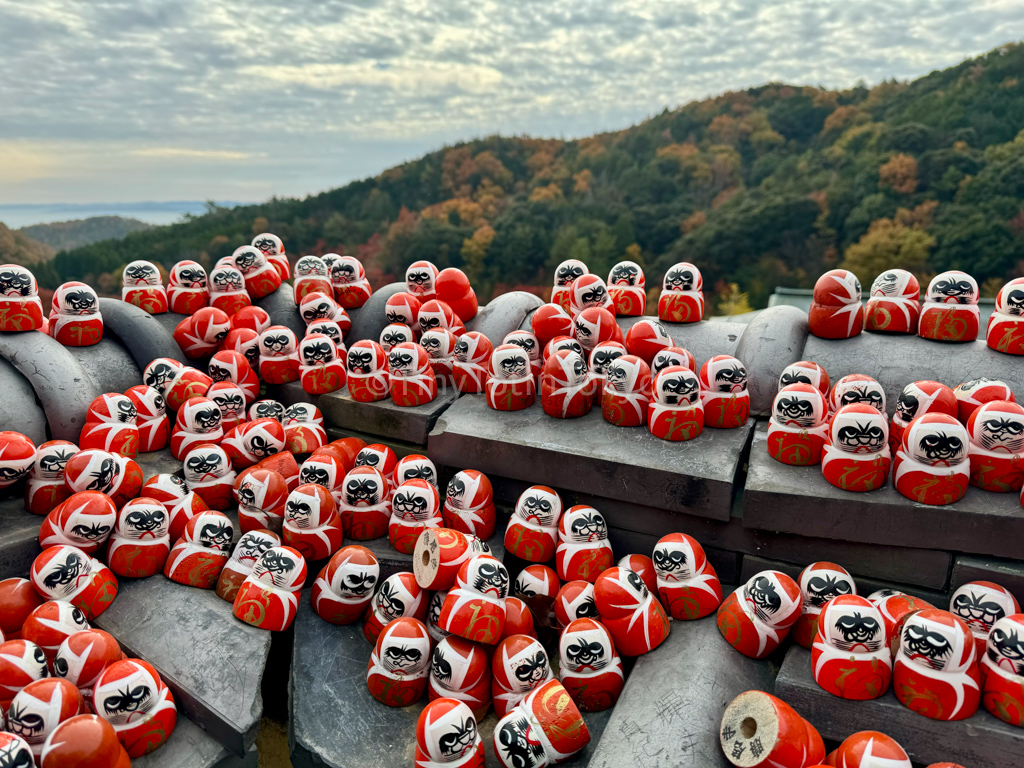 daruma mikuji at katsuoji 