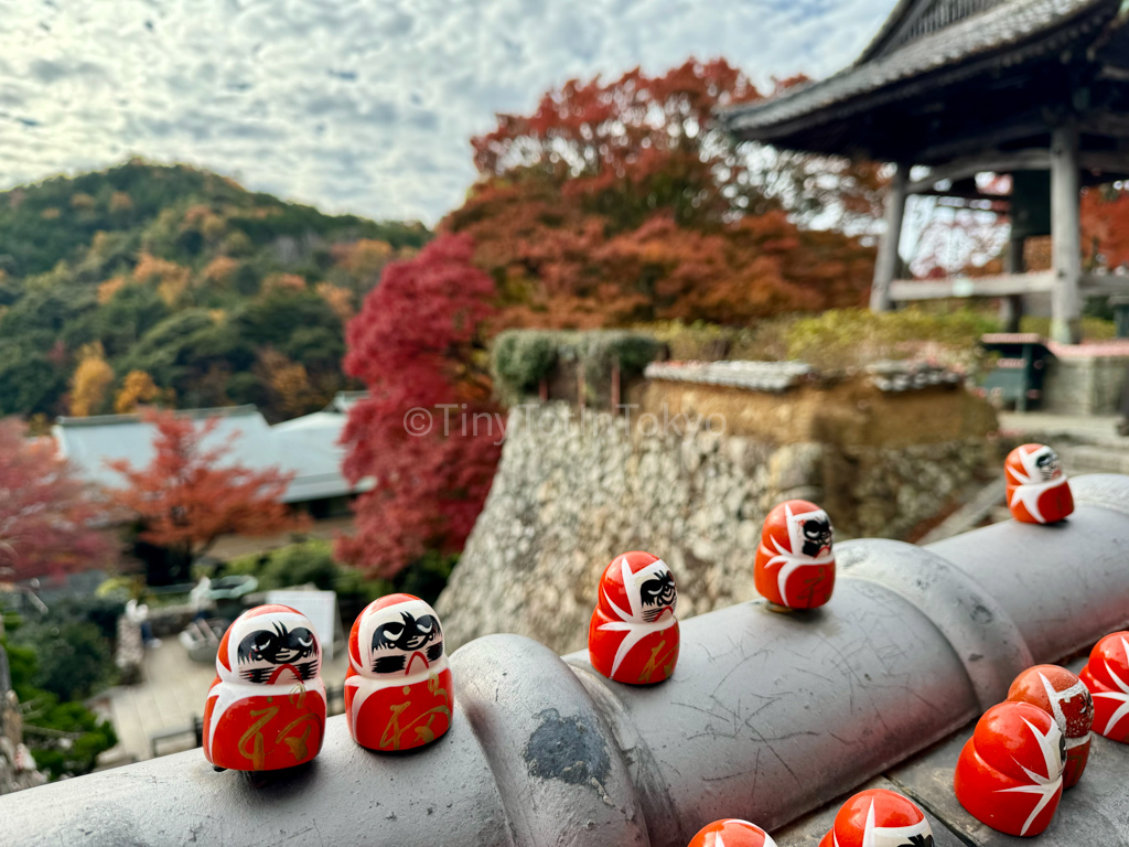 daruma dolls in fall at katsuoji temple osaka