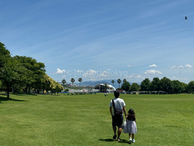 Japan in summer with kids
