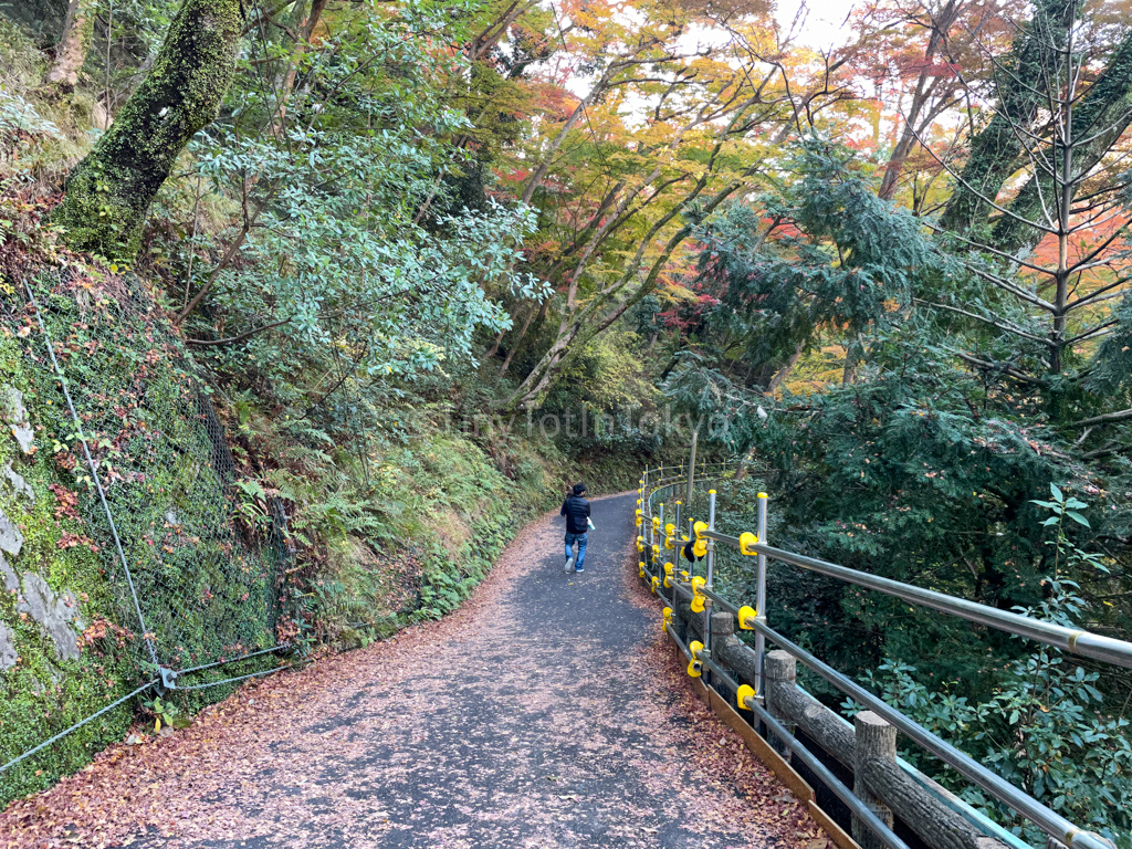 my husband carrying my child up to Minoh Falls