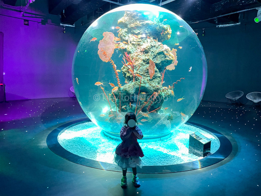 ATOA Aquarium in Kobe