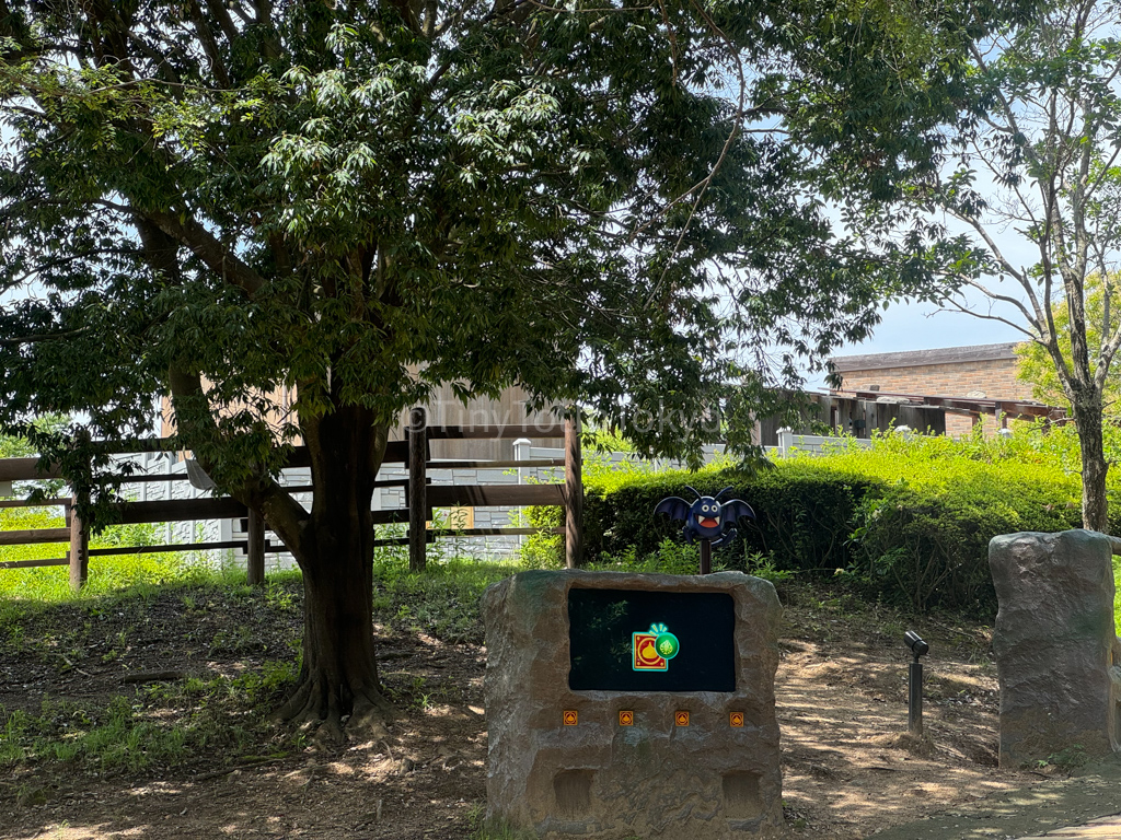 screens in the forest of Dragon Quest Theme Park in Japan