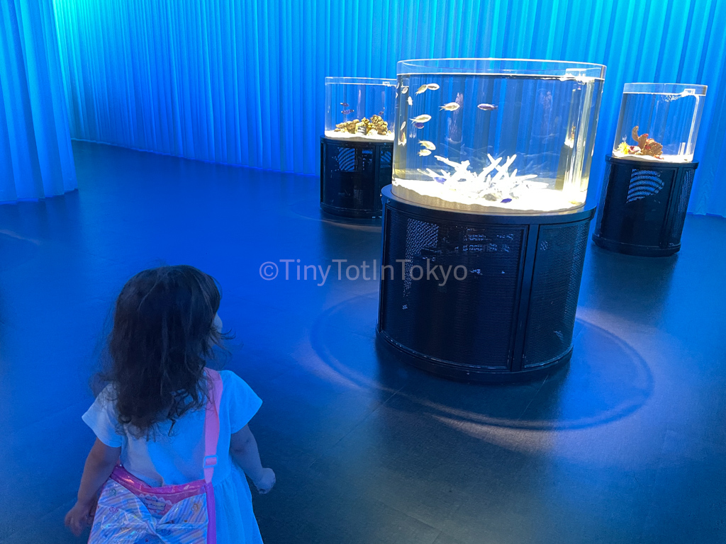 NIFREL aquarium in Japan