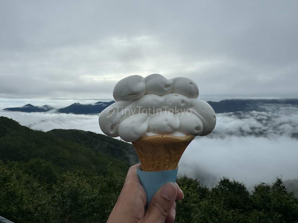 Cloud ice cream at unkai terrace at Hoshino Resort Tomamu in Hokkaido