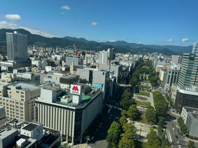 View of Sapporo from Sapporo TV Tower