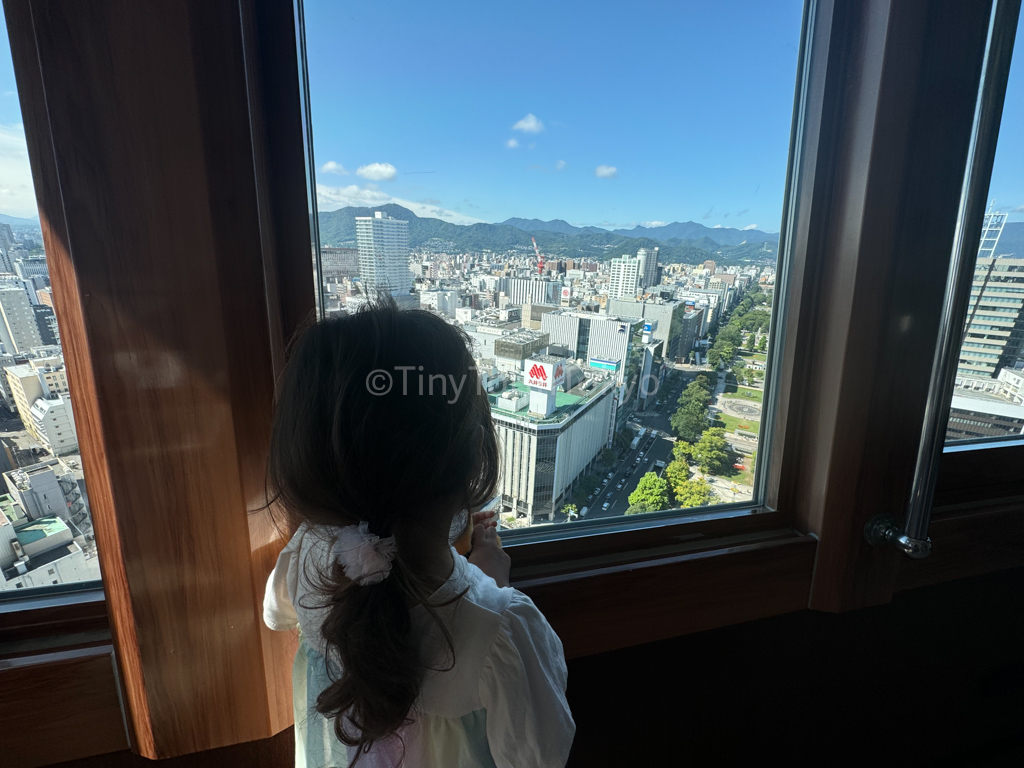 Sapporo TV Tower view