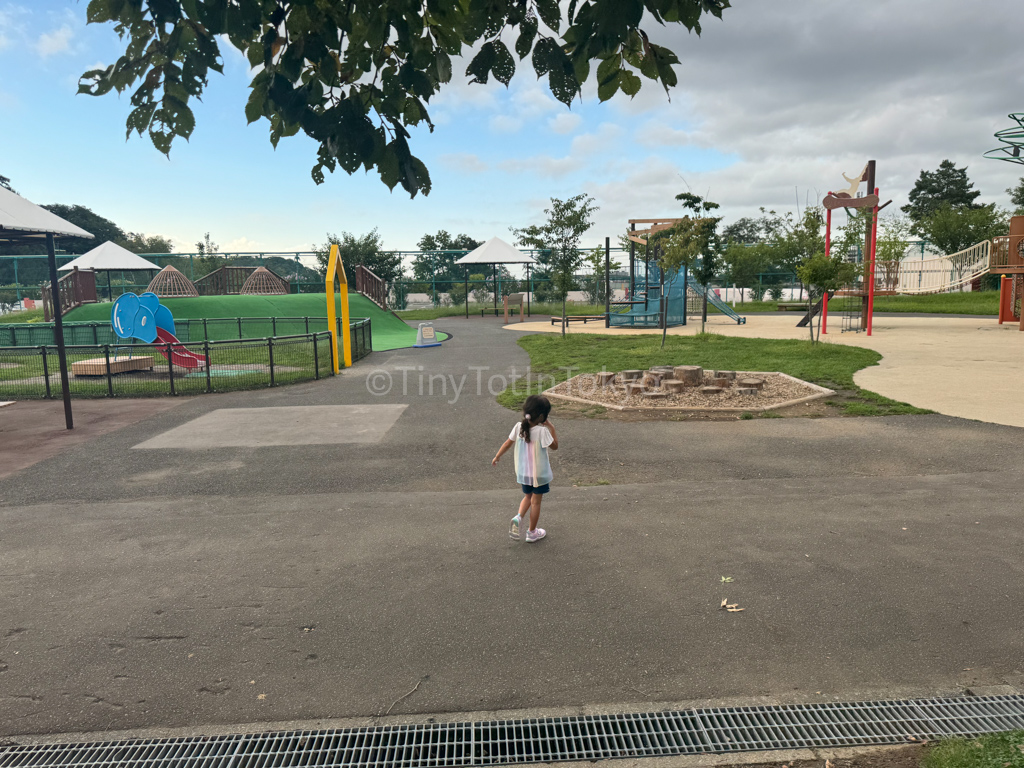 Playground at Maruyama Zoo in Sapporo