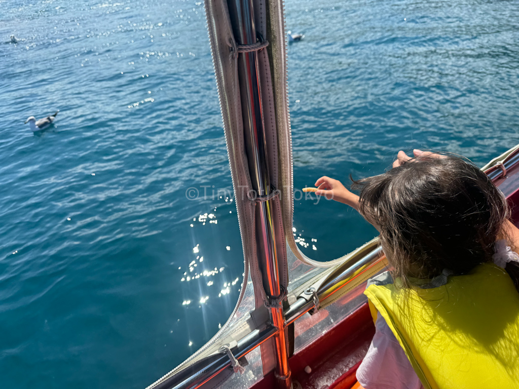 Kid giving snacks to seabirds in Otaru Hokkaido