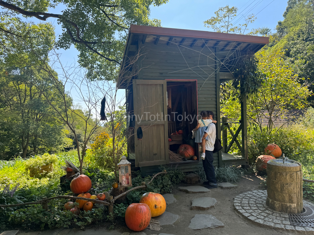 Nunobiki Herb garden in Kobe in Autumn with halloween decorations and pumpkins