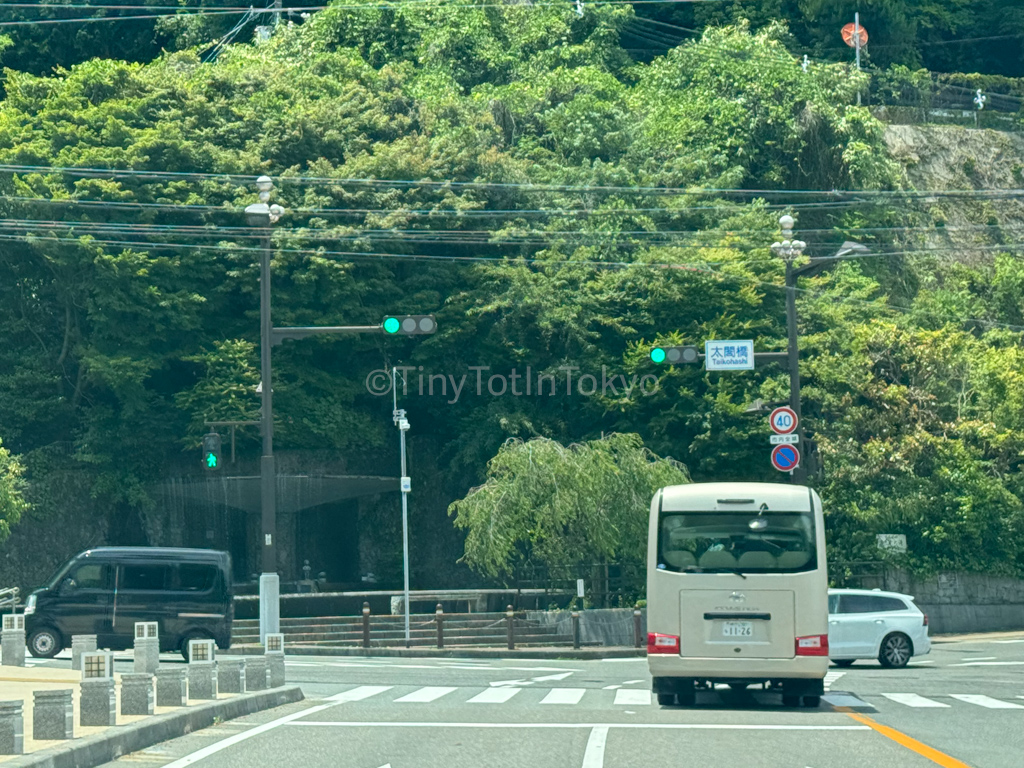 Cars and a green stop light in Japan