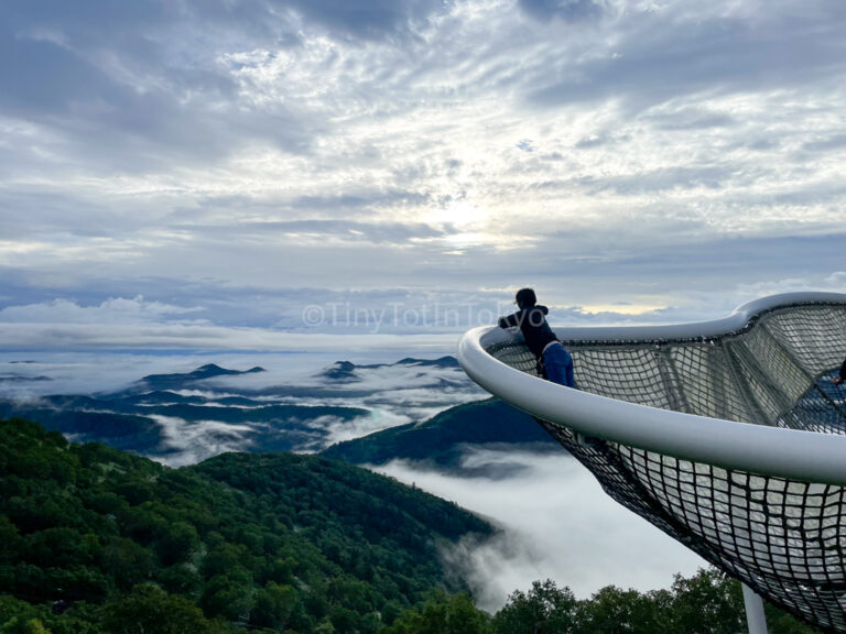 Hoshino Resorts Tomamu Cloud Pool