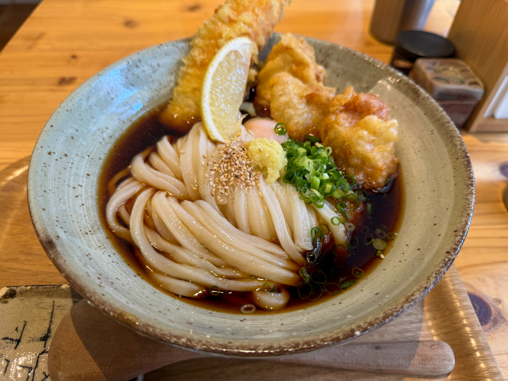 A bowl of hot udon noodles from Ogimachi Udon-ya Asuroh in Osaka