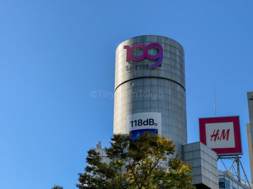 Things to Do in Shibuya That Are Actually Worth Your Time - Tiny Tot In ...