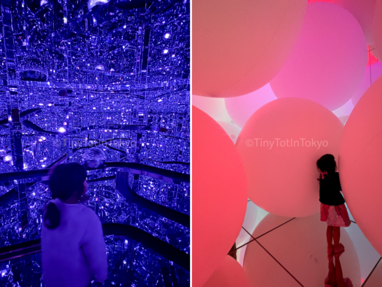 a room in teamLab Borderless compared to teamlab Planets